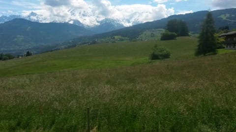 Rez de chaussée très calme vue Mont-Blanc Wohnung in Combloux