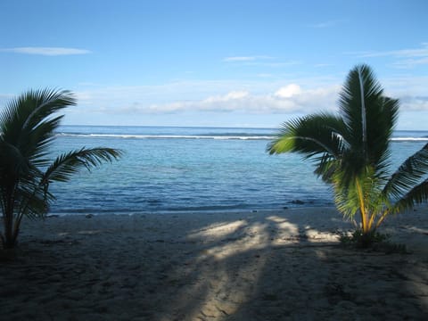 Beach, On site