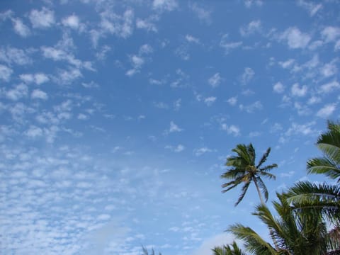 Oronga Beach Maison in Arorangi District