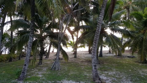 Oronga Beach Casa in Arorangi District