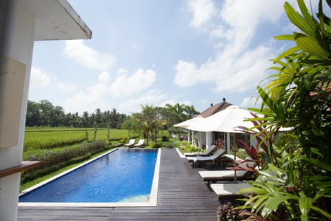 Pool view, Swimming pool