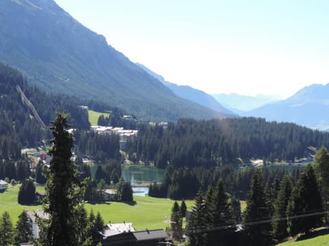 Canossa (716 Be) Apartment in Canton of Grisons