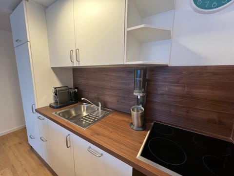 Sursilvana 18 (317 Ma) Apartment in Lantsch/Lenz