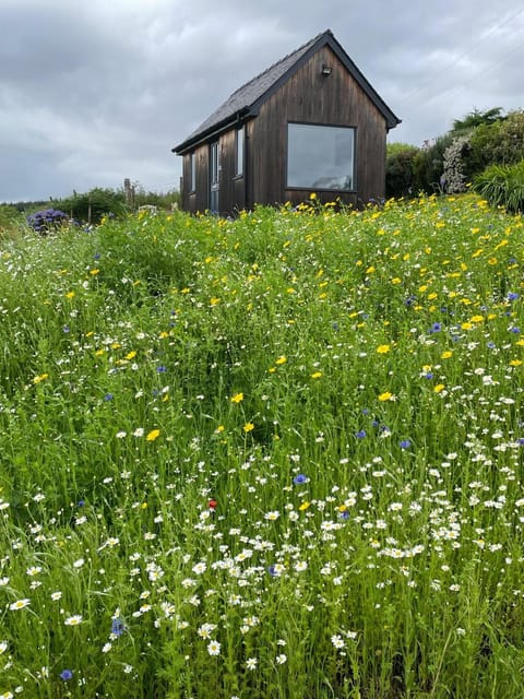 Elfin Cottage House in Scotland
