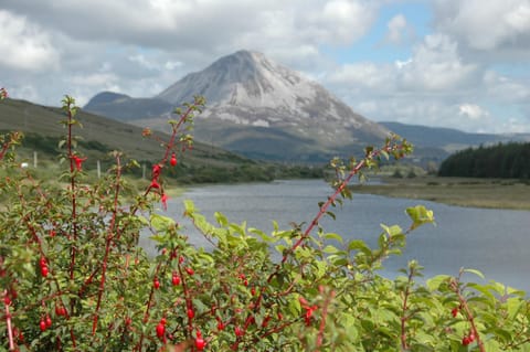 Óstán Loch Altan Hotel in County Donegal