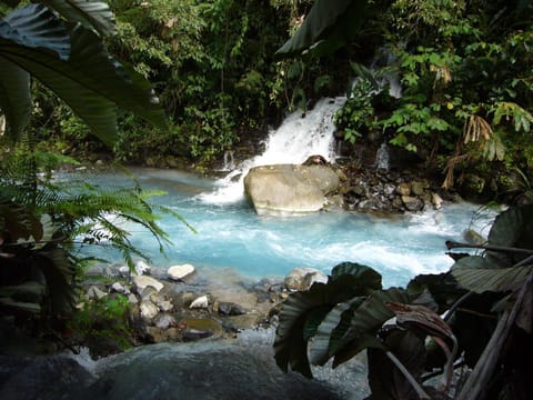 Natural landscape, Area and facilities