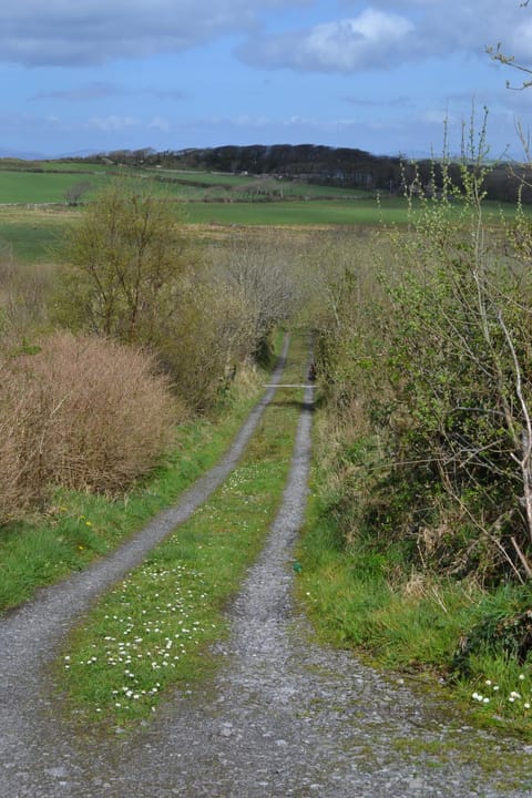 Marsh Cottage F91 N4A9 House in County Sligo