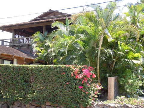 Maui What a Wonderful World Bed & Breakfast Chambre d’hôte in Wailea