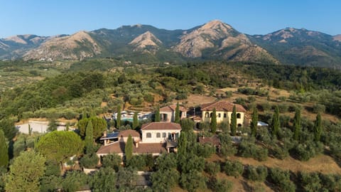 Property building, Bird's eye view, View (from property/room)