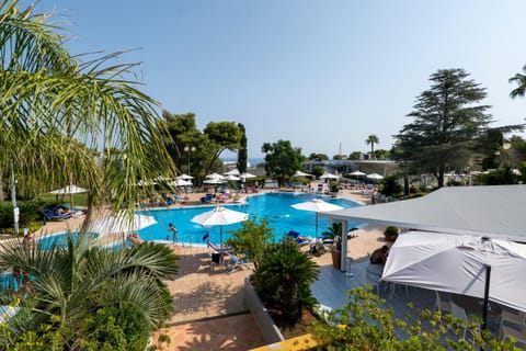 Pool view, Swimming pool