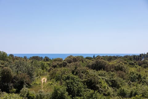 Villa Mareonda Apartment in Rovinj