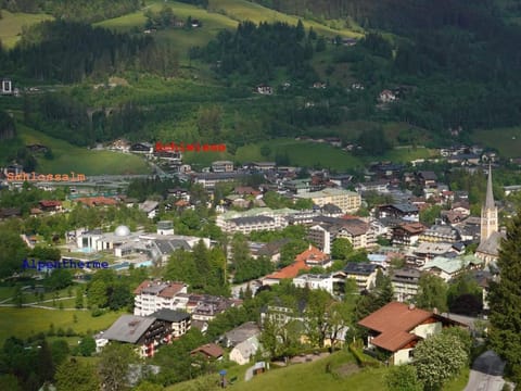 Ferienhaus Schiwiese mit freiem Eintritt in die Alpentherme Condo in Bad Hofgastein