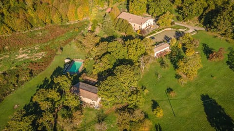 Restaurant/places to eat, Bird's eye view, Garden, Pool view