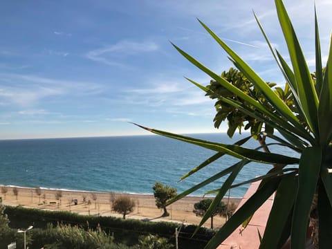 Beach, Sea view