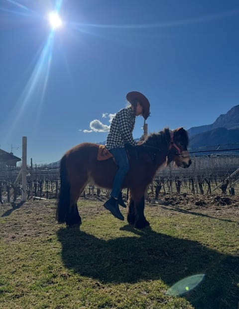 Lochererhof Apartment in Trentino-South Tyrol