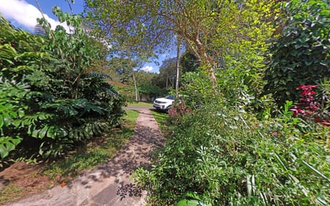 Garden, Garden view