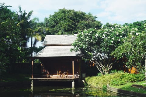 Pool view