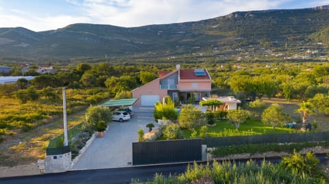 Bird's eye view, Garden view