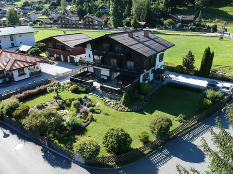 Bird's eye view, Garden view