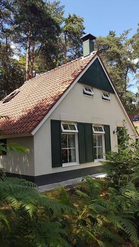 wittebergen25 House in Drenthe (province)