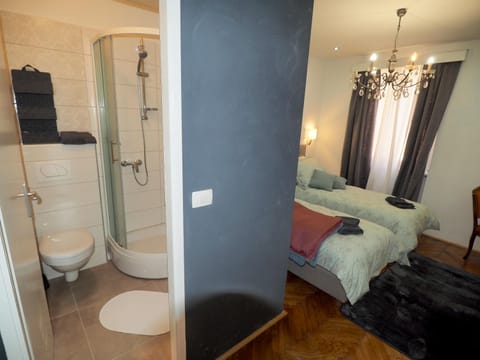 Shower, Toilet, Photo of the whole room, Bedroom