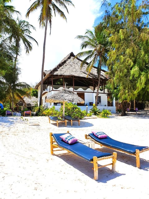 Blue Palm Zanzibar Bed and Breakfast in Tanzania