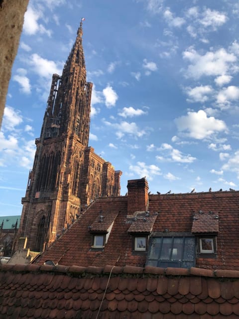 Carpe Diem Home - Au pied de la Cathédrale Condo in Strasbourg