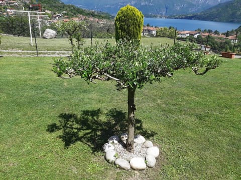 Garden, Garden view