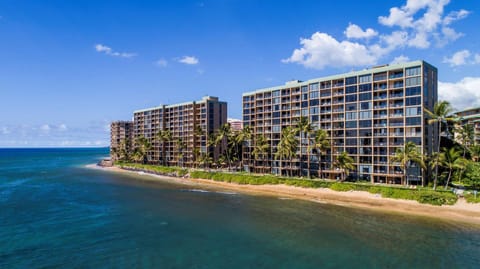 Property building, Facade/entrance, Day, Bird's eye view, Beach, Sea view