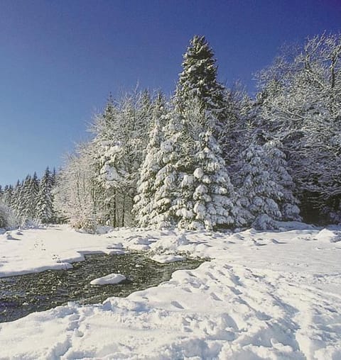 Nearby landmark, Off site, People, Natural landscape, Activities, Winter, View (from property/room), Time of day