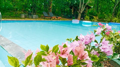 Spring, Day, Garden, Garden view, Pool view, Swimming pool