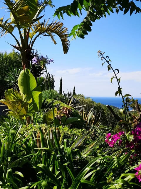 Garden, Garden view