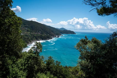 Natural landscape, Sea view