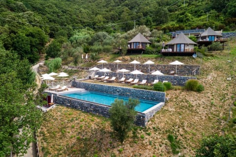 Garden view, Swimming pool