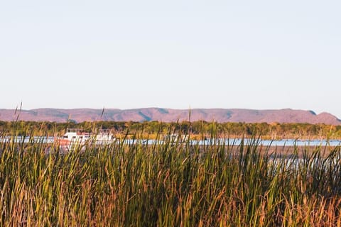 Garden, Lake view, Sunset