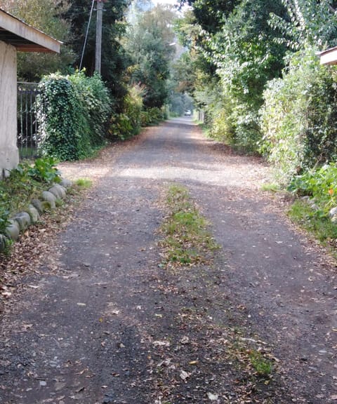 Garden, Street view