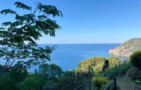 Villa Pietrafiore Farm Stay in Cinque Terre