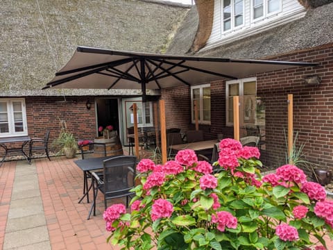 Balcony/Terrace, Garden view