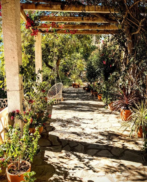 Property building, Facade/entrance, Garden