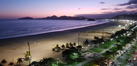 Praia Palace Condo in Santos