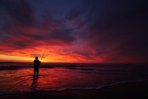 Natural landscape, Beach, Evening entertainment, Sea view, Sunset, Inner courtyard view