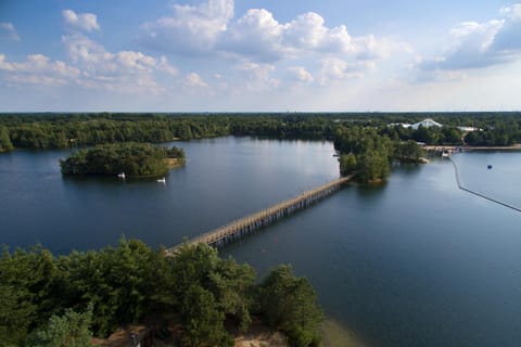 Bird's eye view, On site