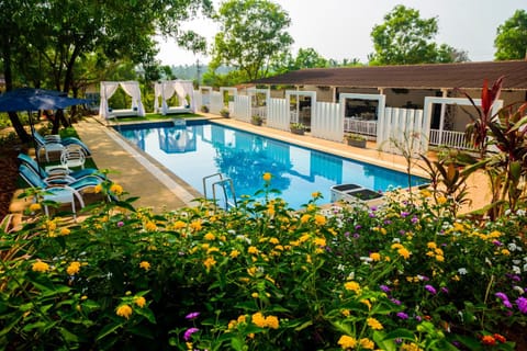 Garden, Swimming pool