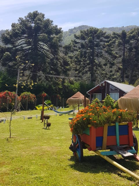 Cabañas Los Cipreses Nature lodge in Araucania, Chile