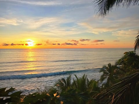 Lodge El Amargal - Reserva Natural, Ecoturismo & Surf Hotel in Choco, Colombia