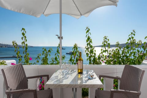 Irene Studios - Beachfront Appart-hôtel in Paros