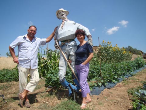 Summer, Other, On site, Area and facilities