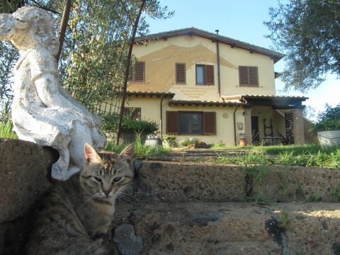 Property building, Pets