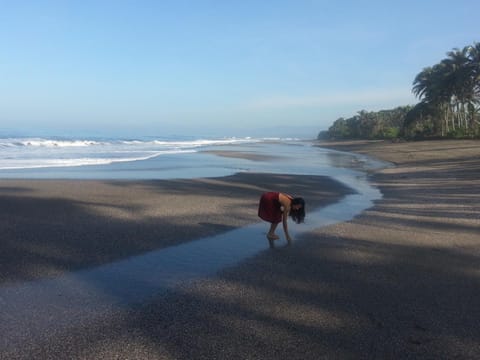 Natural landscape, Activities, Beach