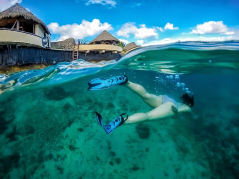 Koro Sun Resort & Rainforest Spa Resort in Fiji